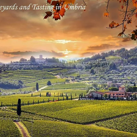 빌라 By Casamerina Tofelli With Private Pool, Quiet And Panoramic View 아멜리아